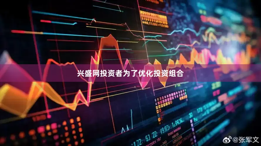 兴盛网投资者为了优化投资组合