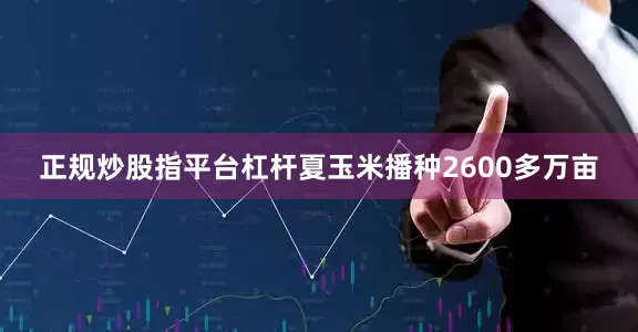 正规炒股指平台杠杆夏玉米播种2600多万亩