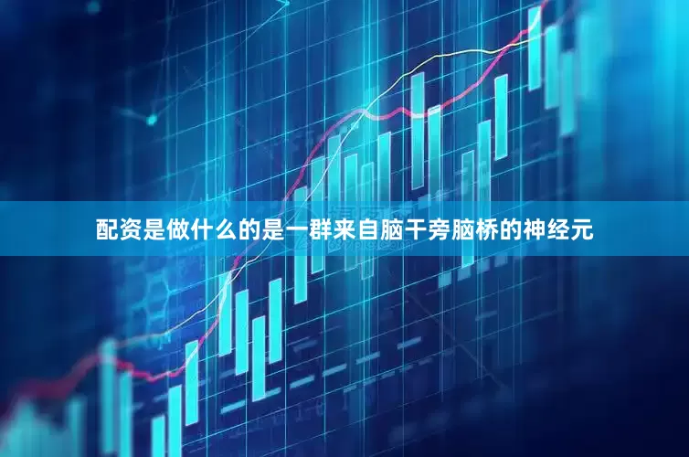 配资是做什么的是一群来自脑干旁脑桥的神经元