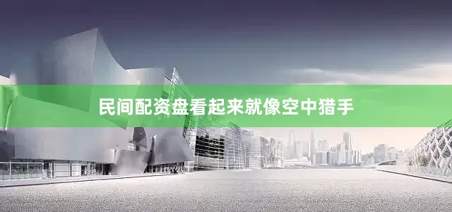 民间配资盘看起来就像空中猎手