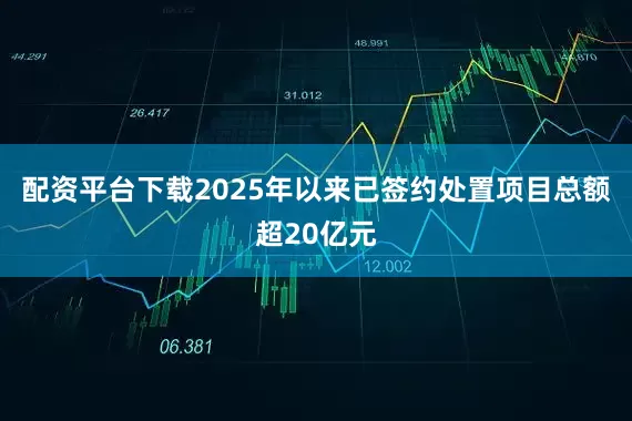 配资平台下载2025年以来已签约处置项目总额超20亿元