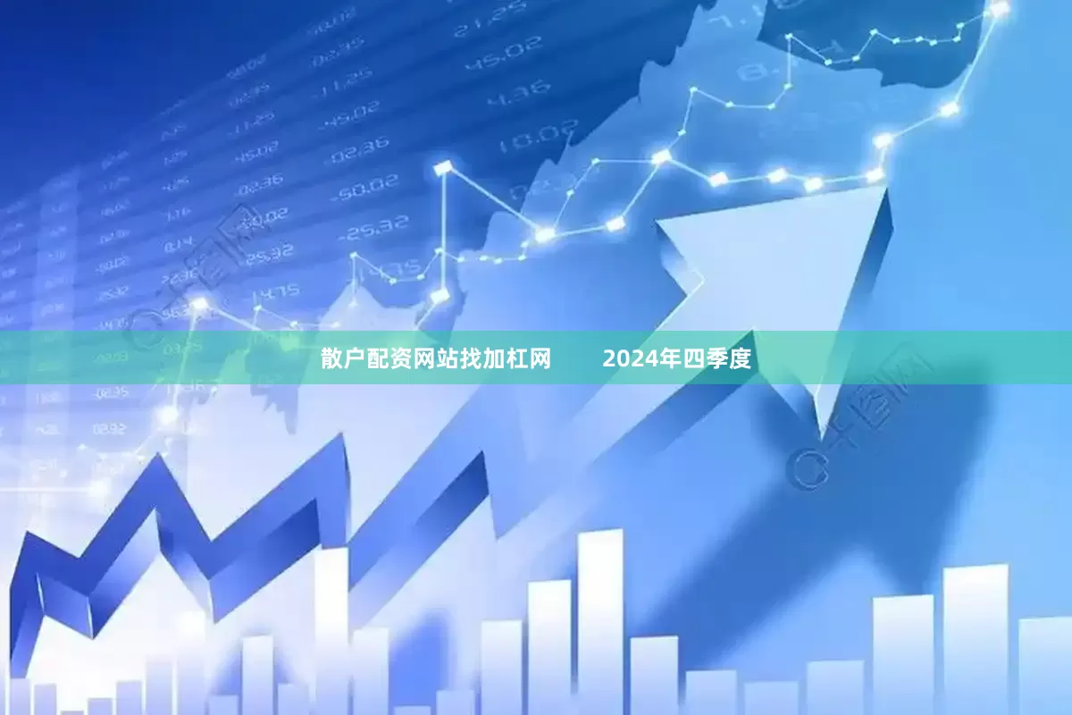 散户配资网站找加杠网        2024年四季度
