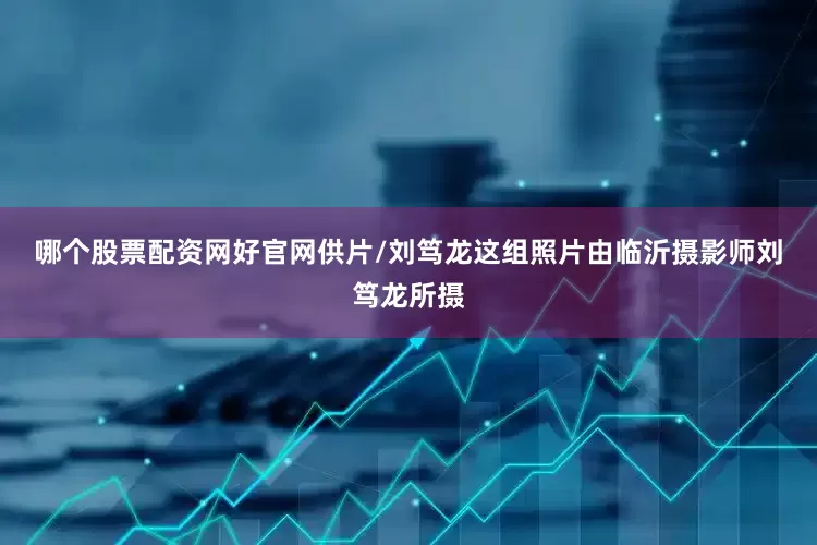 哪个股票配资网好官网　　供片/刘笃龙　　这组照片由临沂摄影师刘笃龙所摄