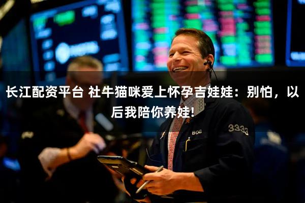 长江配资平台 社牛猫咪爱上怀孕吉娃娃：别怕，以后我陪你养娃!