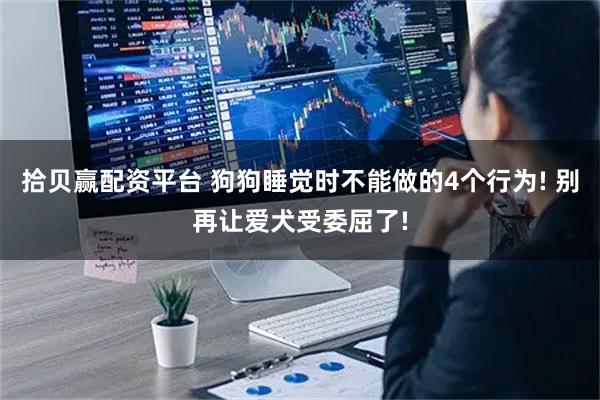 拾贝赢配资平台 狗狗睡觉时不能做的4个行为! 别再让爱犬受委屈了!
