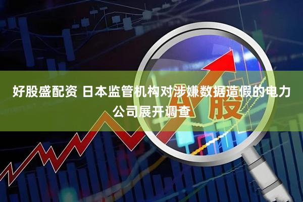 好股盛配资 日本监管机构对涉嫌数据造假的电力公司展开调查